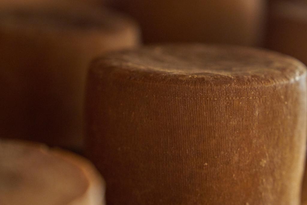 Hacienda Zorita Wine Hotel & Spa Valverdón Dış mekan fotoğraf Cantal cheese